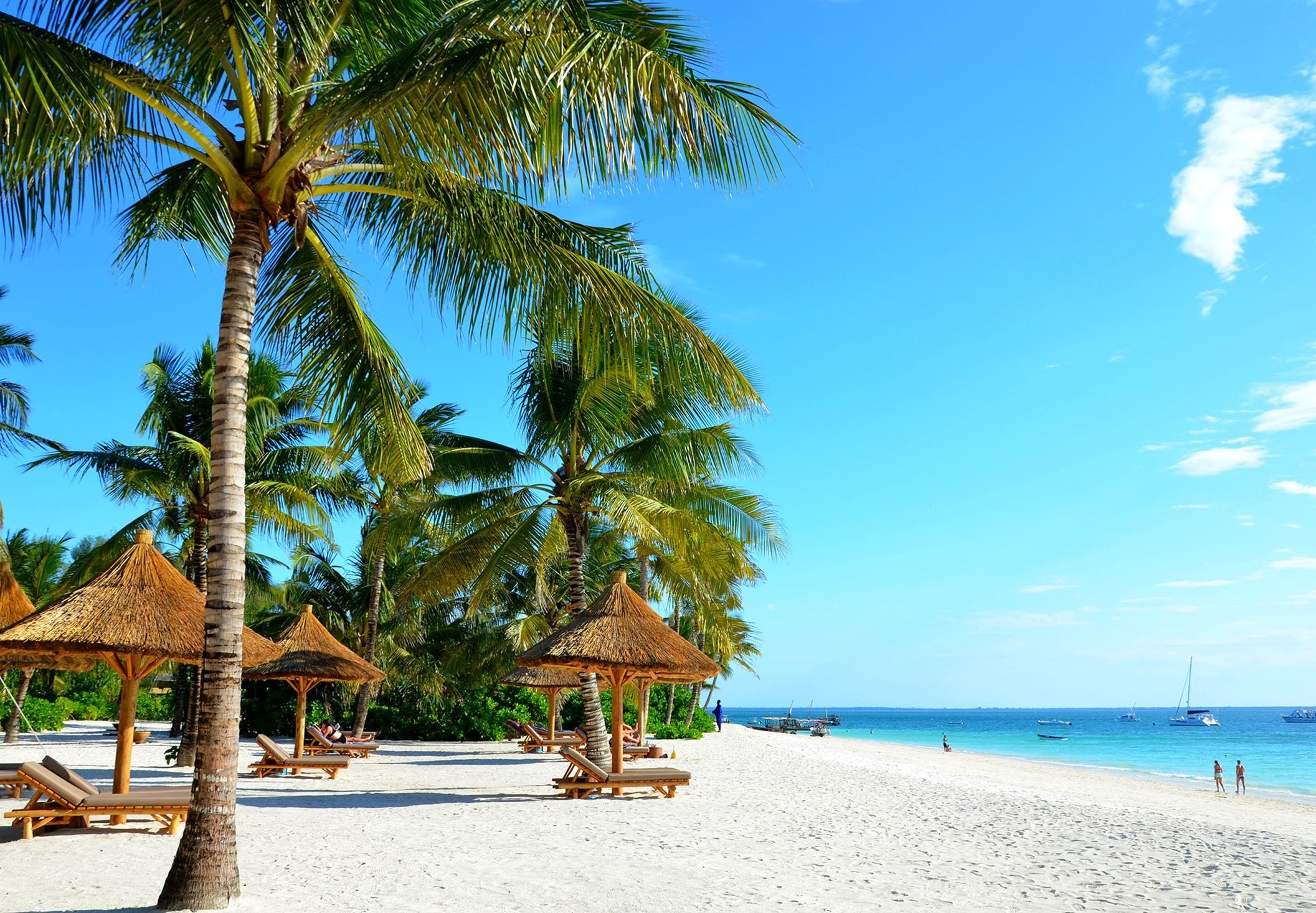 3 Days-Extravagance Safari Zanzibar Bush Zanzibar