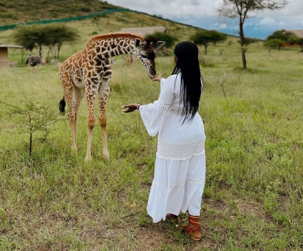 Day Trip-Lets go feed them